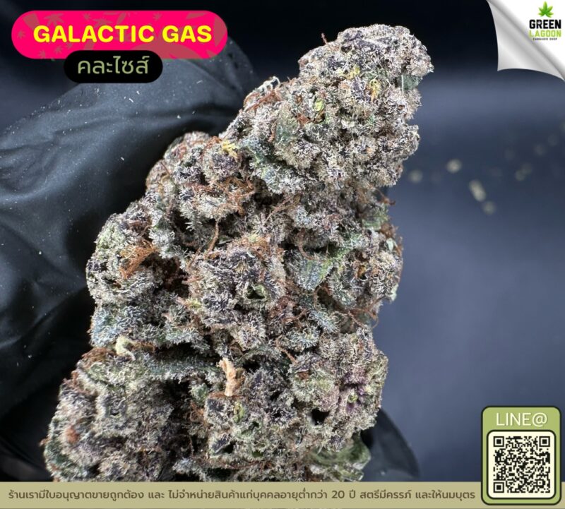 Galactic gas