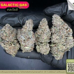 Galactic gas
