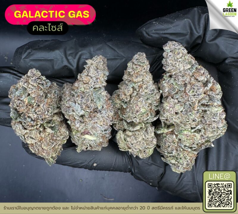 Galactic gas