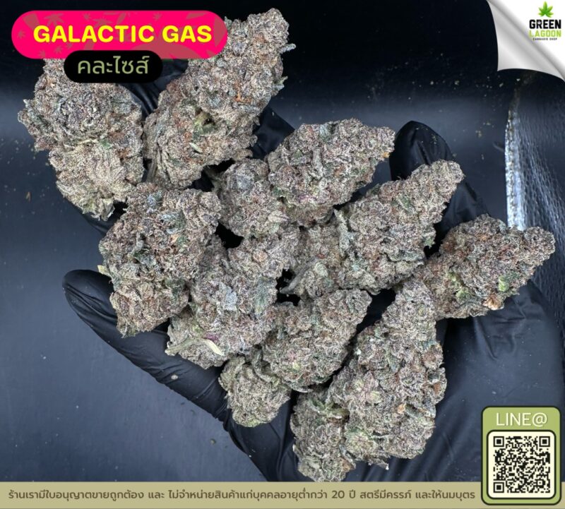 Galactic gas