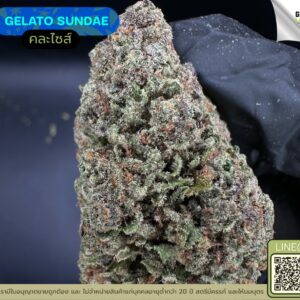 Gelato sundae