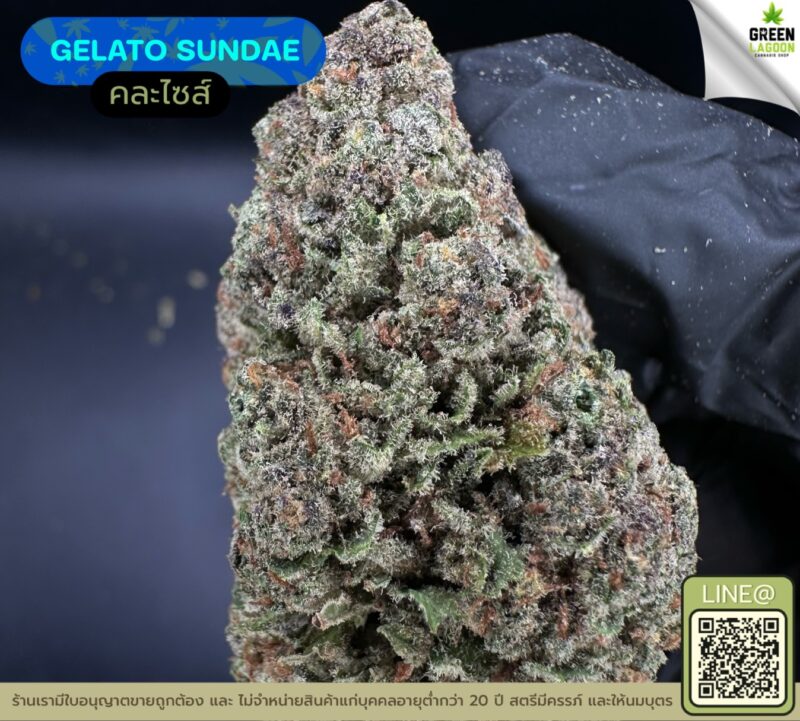 Gelato sundae