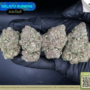 Gelato sundae