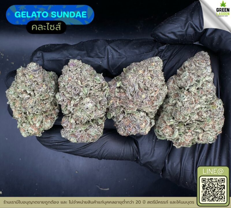 Gelato sundae