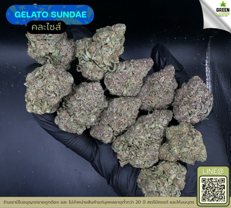 Gelato sundae