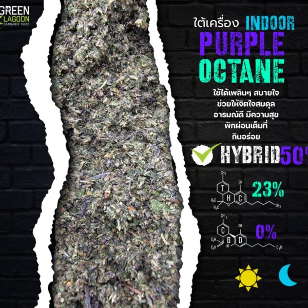 Purple octane (ใต้เครื่องเนื้อทราย Indoor)