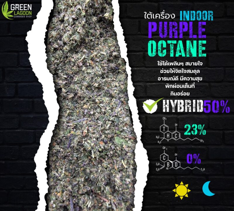 Purple octane (ใต้เครื่องเนื้อทราย Indoor)