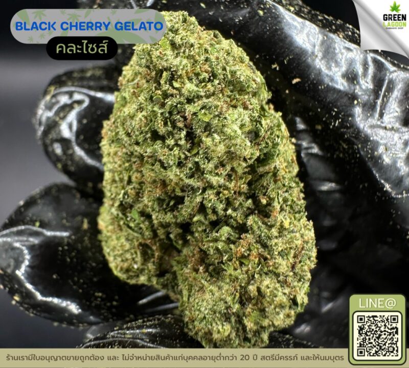 Black cherry gelato