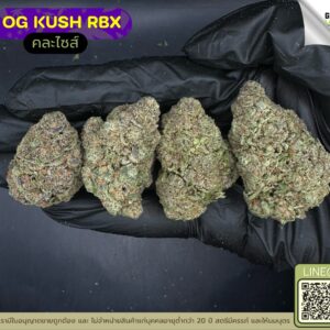 OG kush RBX