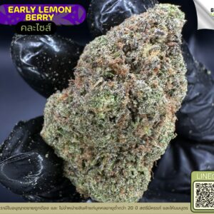 early lemon berry