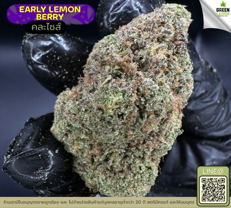 early lemon berry