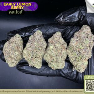 early lemon berry