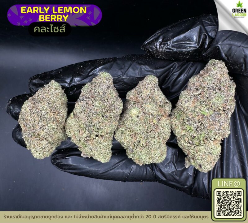 early lemon berry