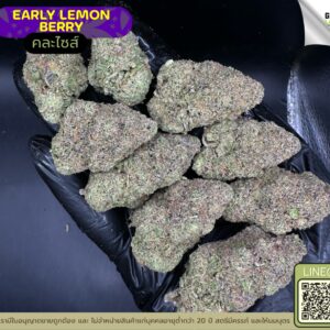 early lemon berry