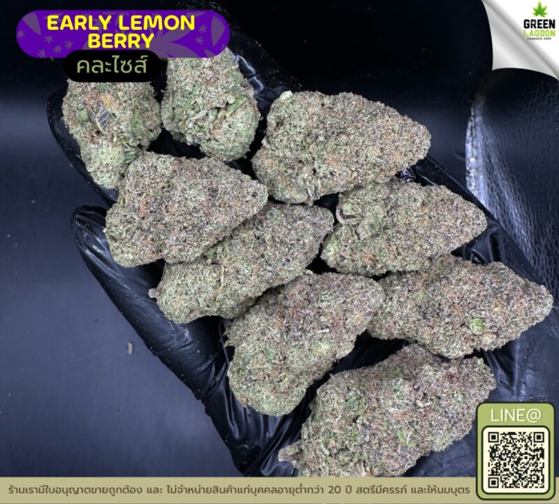 early lemon berry