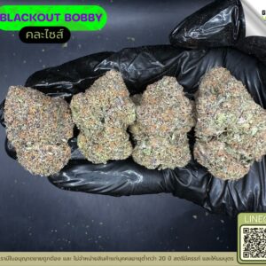 Blackout bobby