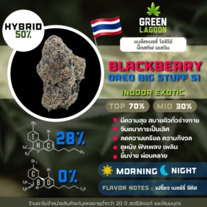 Blackberry oreo big stuff S1