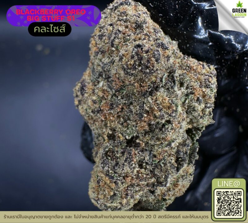 Blackberry oreo big stuff S1