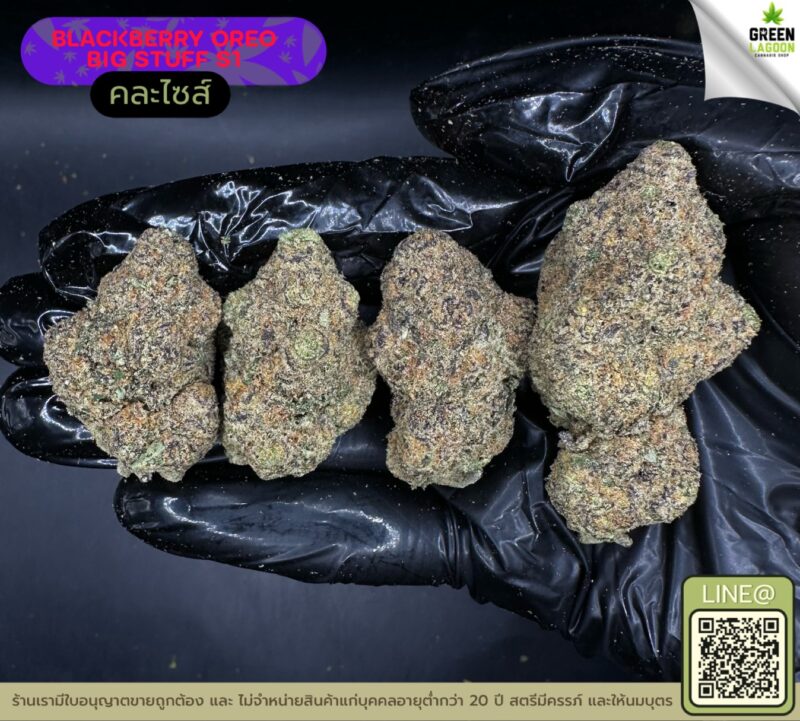 Blackberry oreo big stuff S1