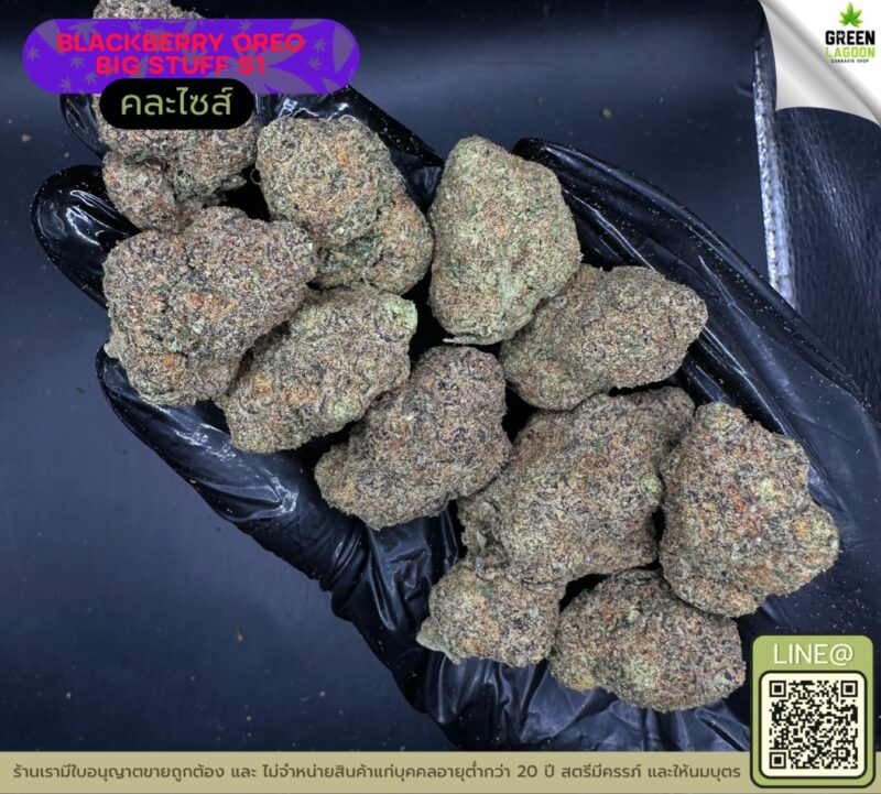 Blackberry oreo big stuff S1