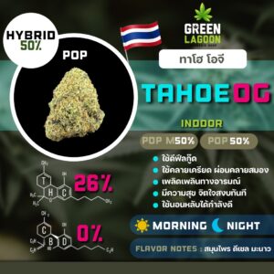 Tahoe OG