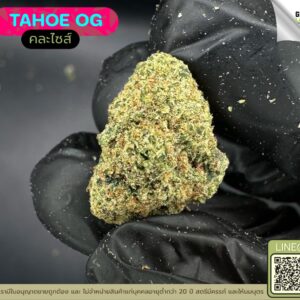 Tahoe OG