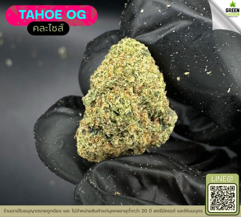 Tahoe OG