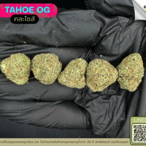 Tahoe OG
