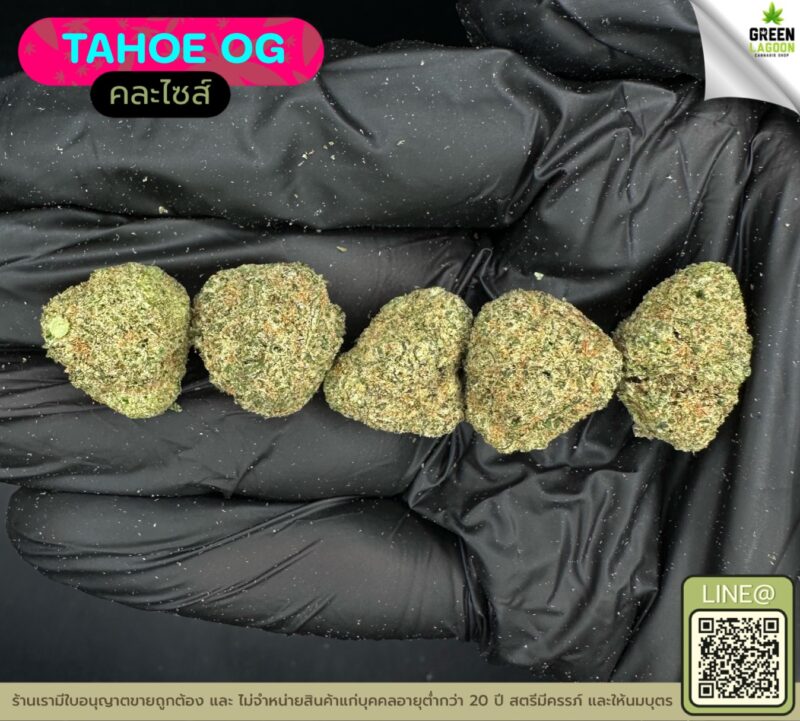 Tahoe OG