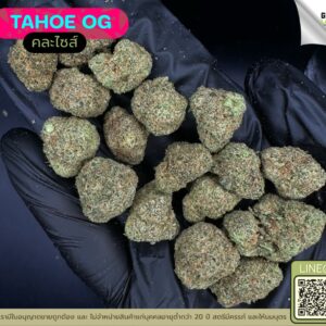 Tahoe OG