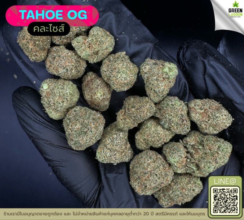 Tahoe OG