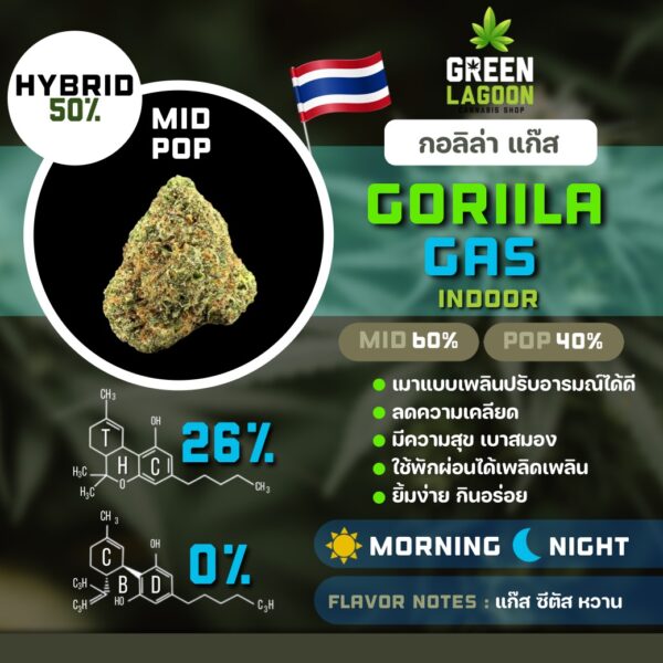 S__7200798_0 Gorilla gas