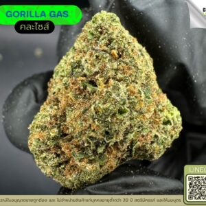 Gorilla gas
