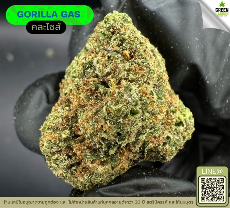 Gorilla gas