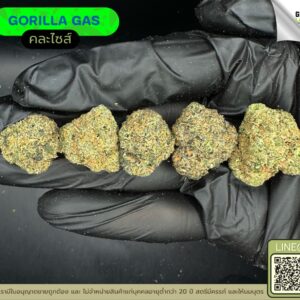 Gorilla gas