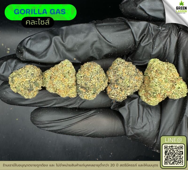 Gorilla gas