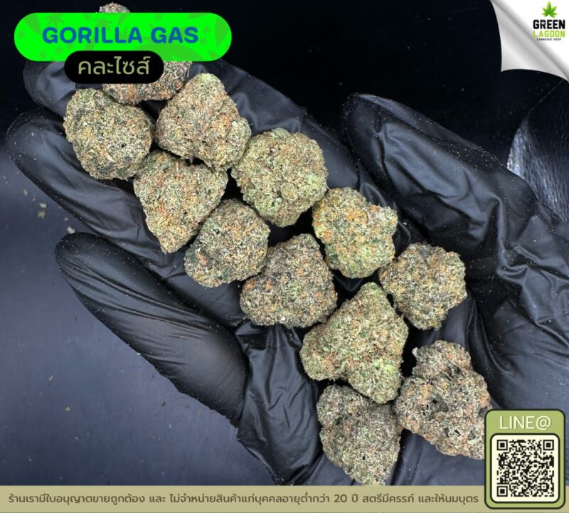 Gorilla gas