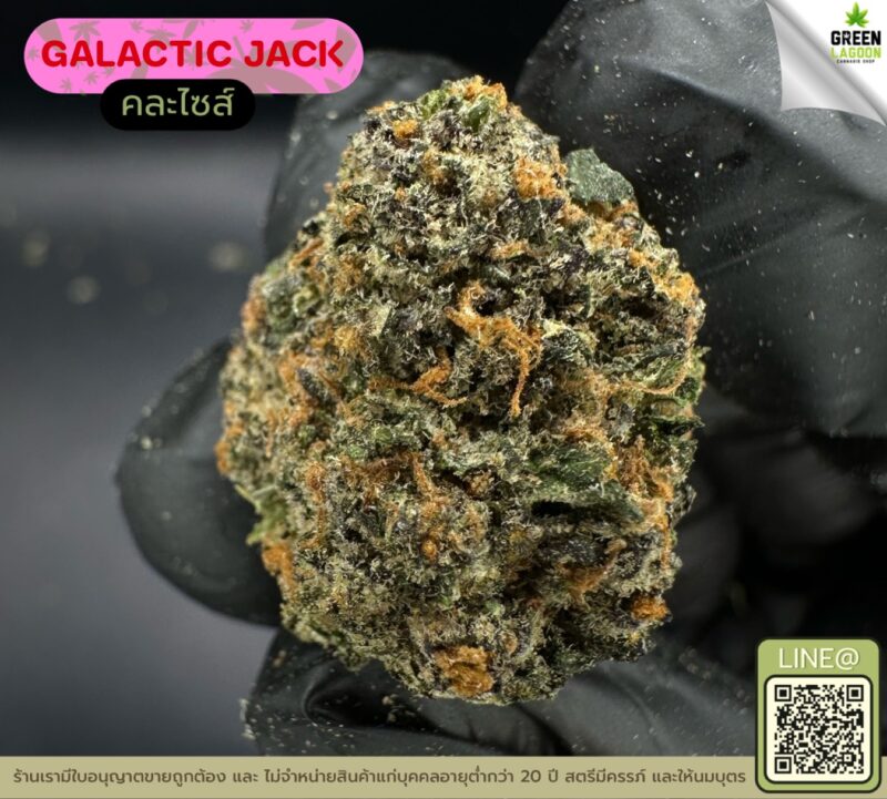 Galactic jack