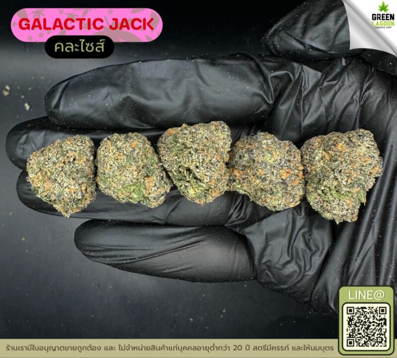Galactic jack