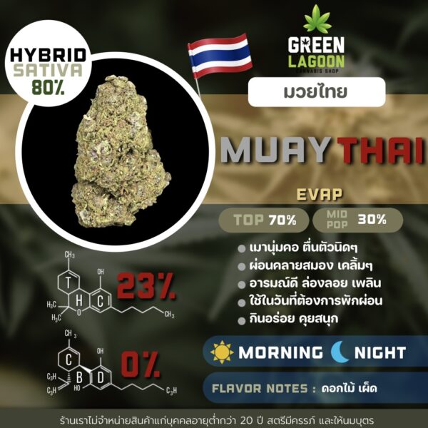 S__7209004_0 Muay thai