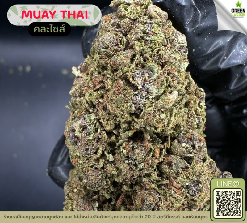 Muay thai
