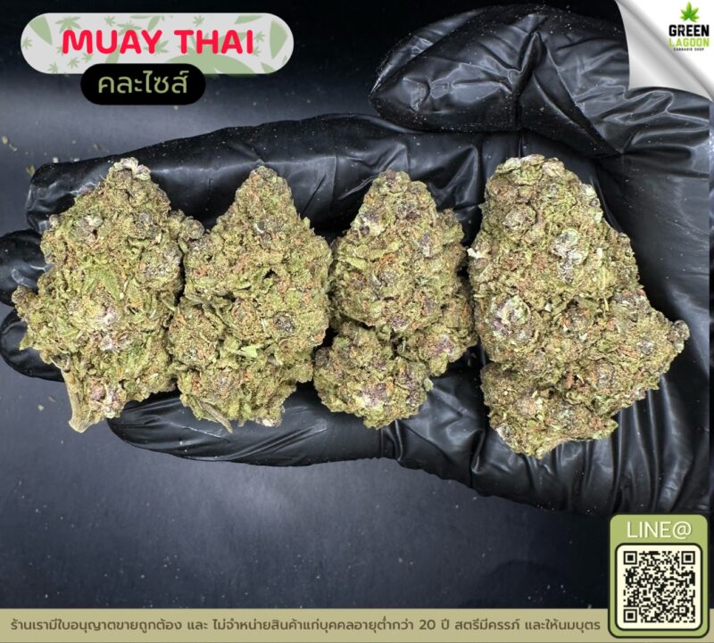 Muay thai