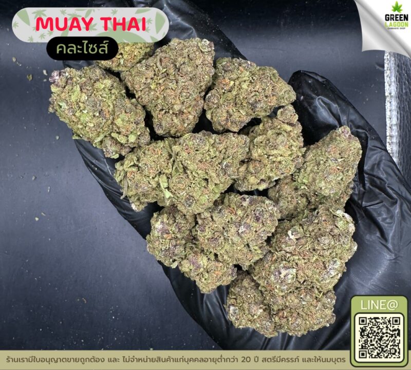 Muay thai