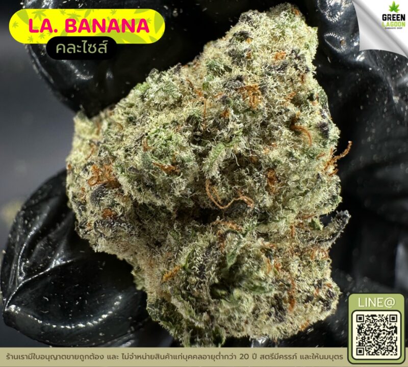 LA.Banana