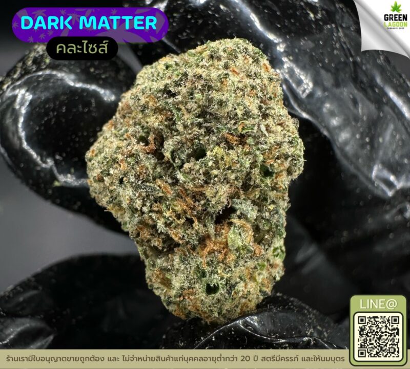 Dark matter