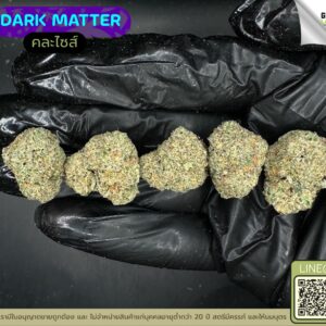 Dark matter
