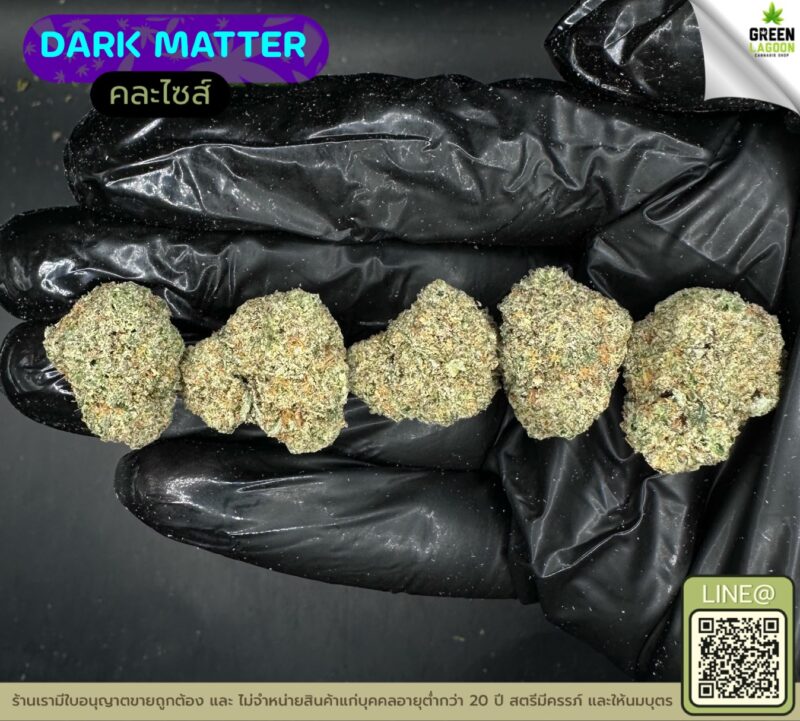 Dark matter