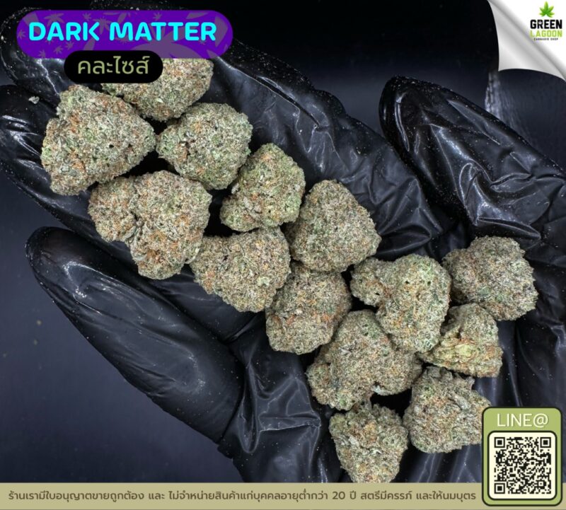 Dark matter