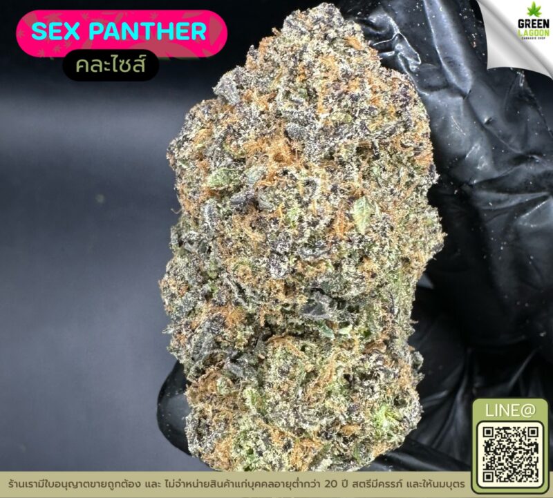 Sex panther