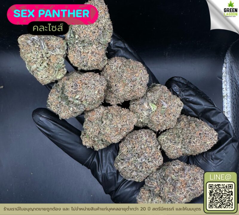 Sex panther